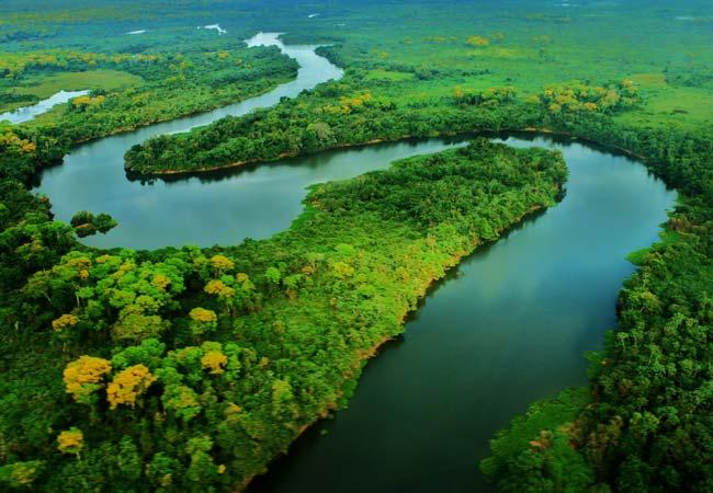 Paisagem do Pantanal, composta por rio de maior porte e mata ciliar ao redor. Fonte: Pescaria Mato Grosso do Sul.