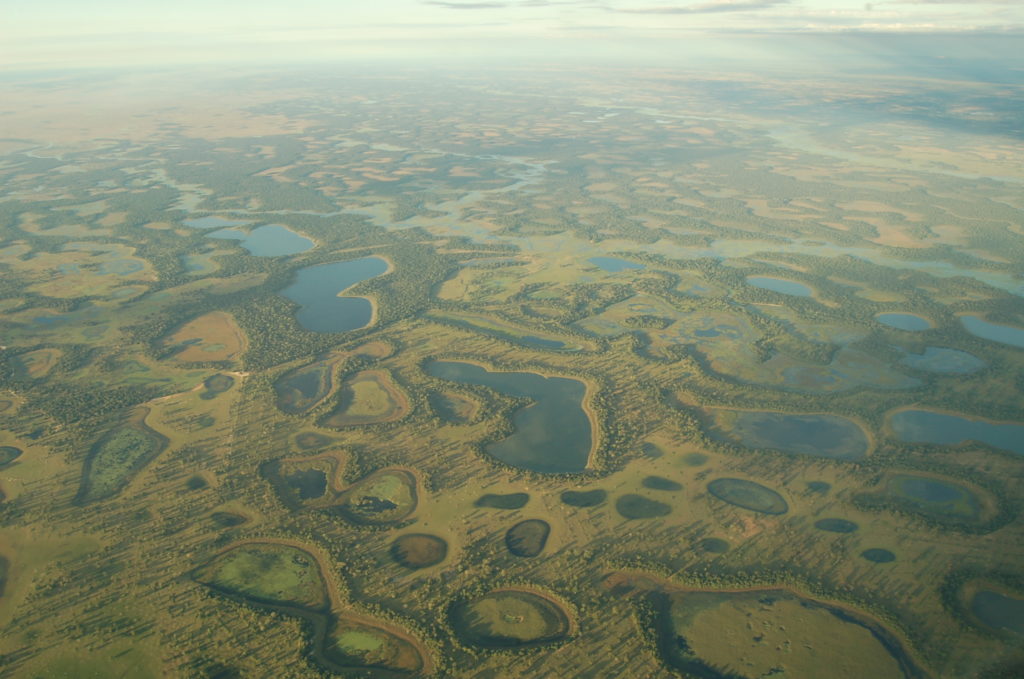 Paisagem do Pantanal da Nhecolândia. Fonte: UFMS.