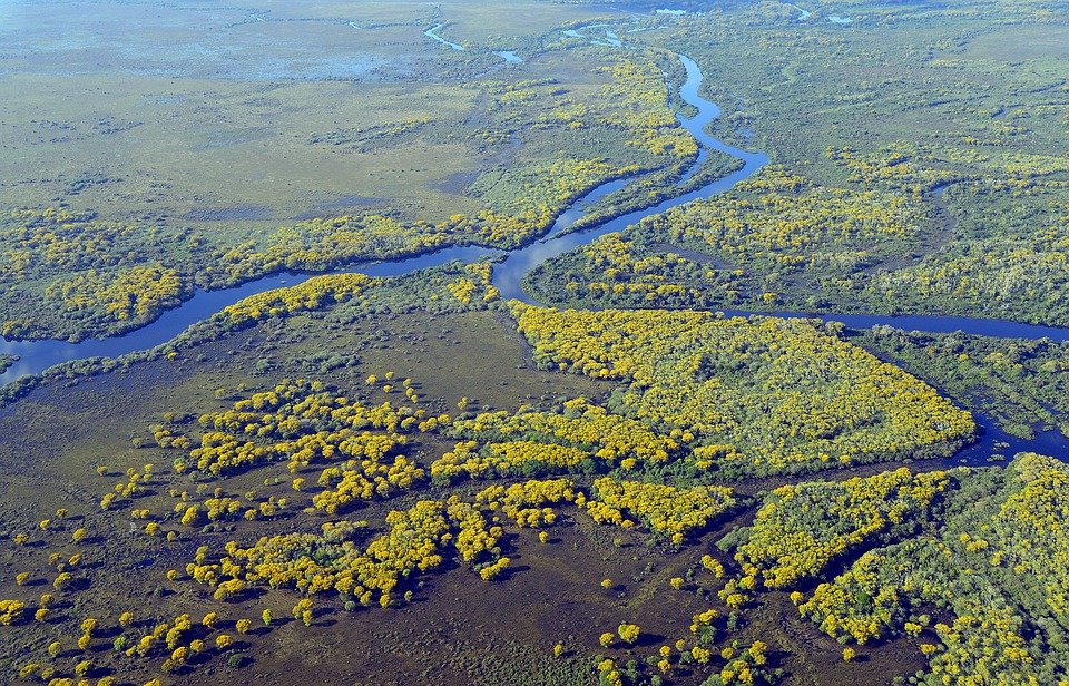 Paisagem do Pantanal, bioma em que ocorre o fenômeno natural dequada, composta por rios, mata ciliar e vegetação arbustiva. 