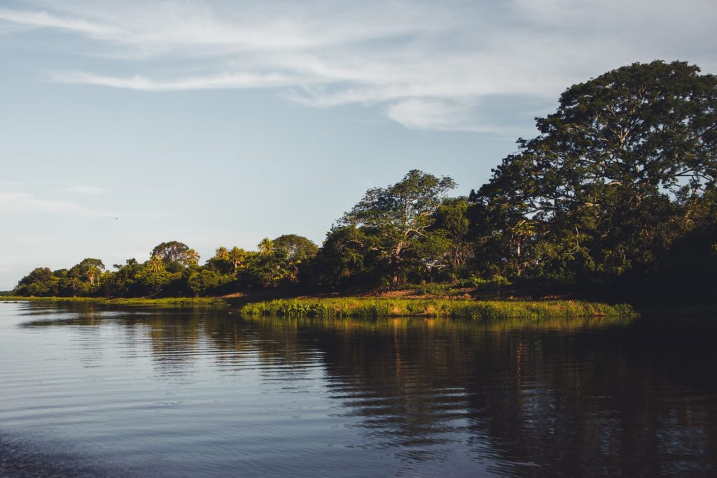 Paisagem do Pantanal composta por rio e mata ciliar, em Paconé (MT).