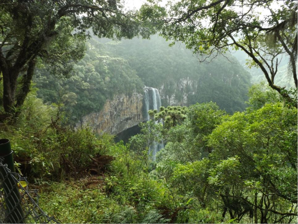 Paisagem na Mata Atlântica.