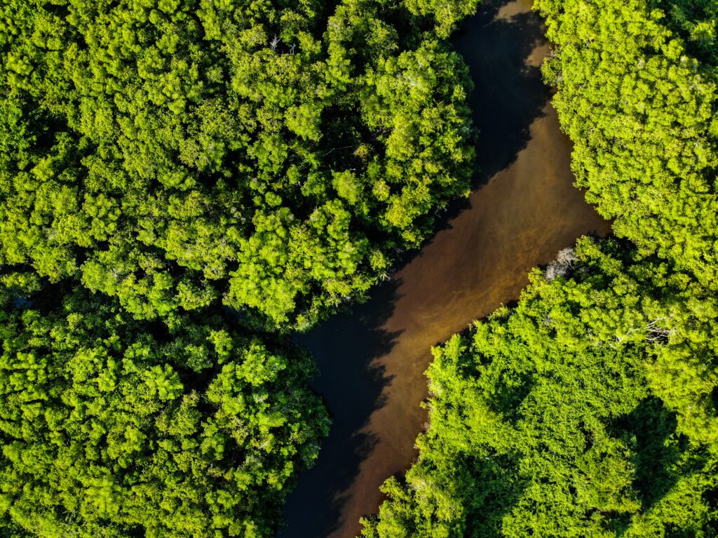 Características da geomorfologia do território brasileiro.