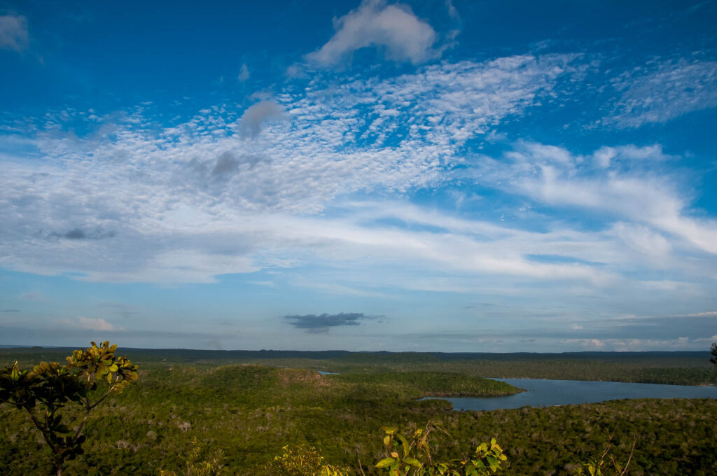 Floresta Nacional do Tapajós, unidade de conservação de uso sustentável. Fonte: Wikimedia Commons, Ericatarina.